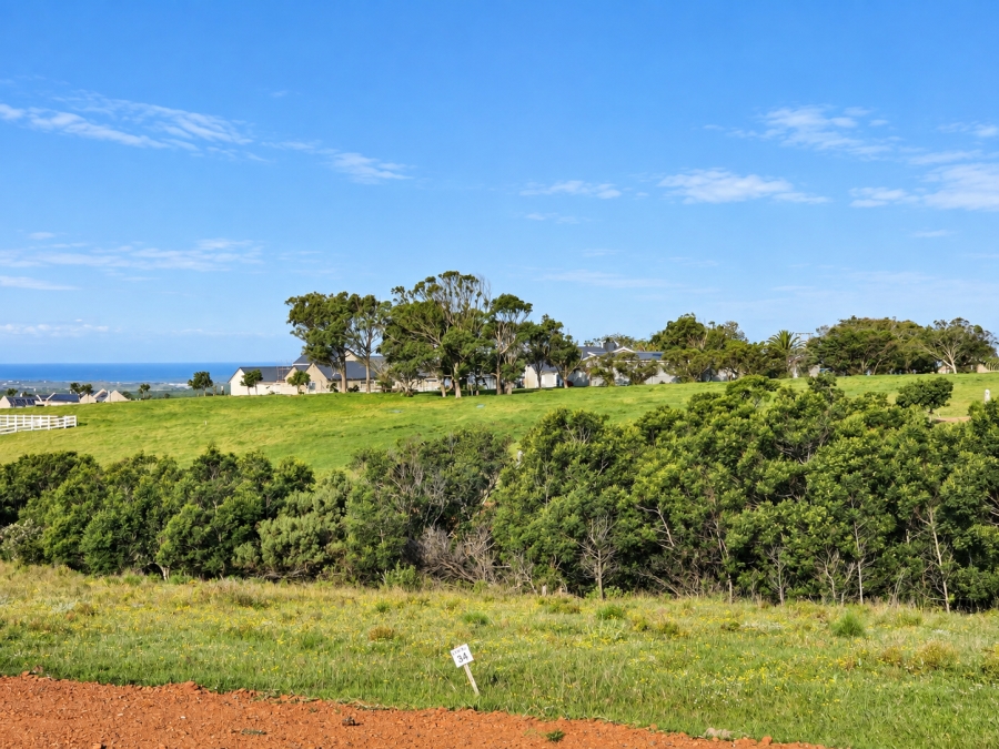0 Bedroom Property for Sale in Kabeljauws Eastern Cape